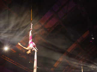 Promo Aerial Silk Displays Circus Performer London