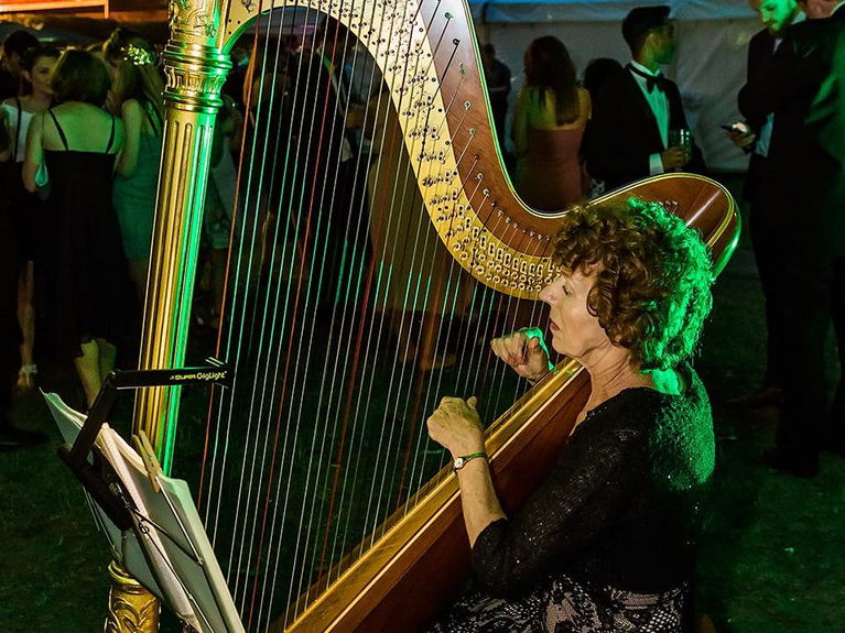 artists similar to Audrey Cameron Finnemore (Harpist)