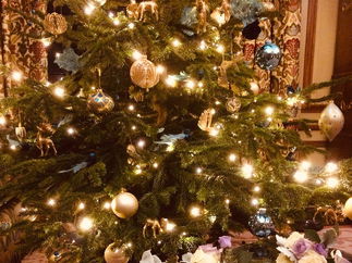 Promo The Rose String Quartet String Quartet Hertfordshire