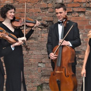 Promo Larkspur Strings  Greater Manchester