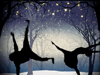 Promo The Christmas Shadow Show Christmas Entertainer Dorset