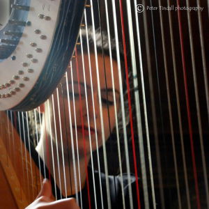 Promo The Function Harpist  Cheshire