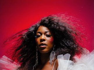 Promo The Diana Ross Tribute Show Tribute Act Gloucestershire