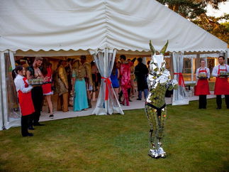 Promo Robo Bunny Mix and Mingle Entertainer London