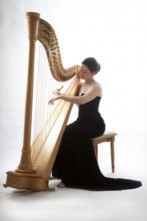 Promo The Singing Harpist Harpist Derbyshire