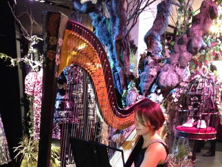 Promo Melissa (Harpist) Harpist London