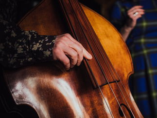 Promo The Roamanced Acoustic Band Nottinghamshire