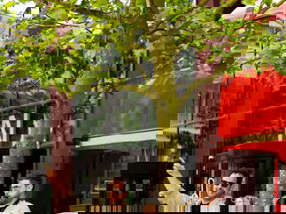 Promo Brass Fusion Brass Band Cheshire