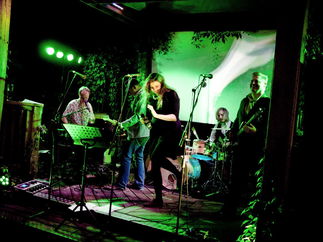 Promo Cartoon Kings Function Band Staffordshire