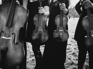 Promo The Royal Welsh Quartet String Quartet Vale of Glamorgan