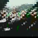 Promo The Royal Welsh Quartet  Vale of Glamorgan