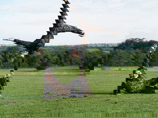 Promo Acrobatic Duo Contortionist Bristol