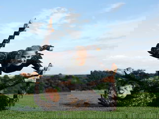 Promo Acrobatic Duo Contortionist Bristol