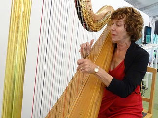 Promo Audrey Cameron Finnemore (Harpist) Harpist Hampshire