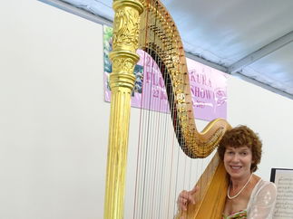 Promo Audrey Cameron Finnemore (Harpist) Harpist Hampshire