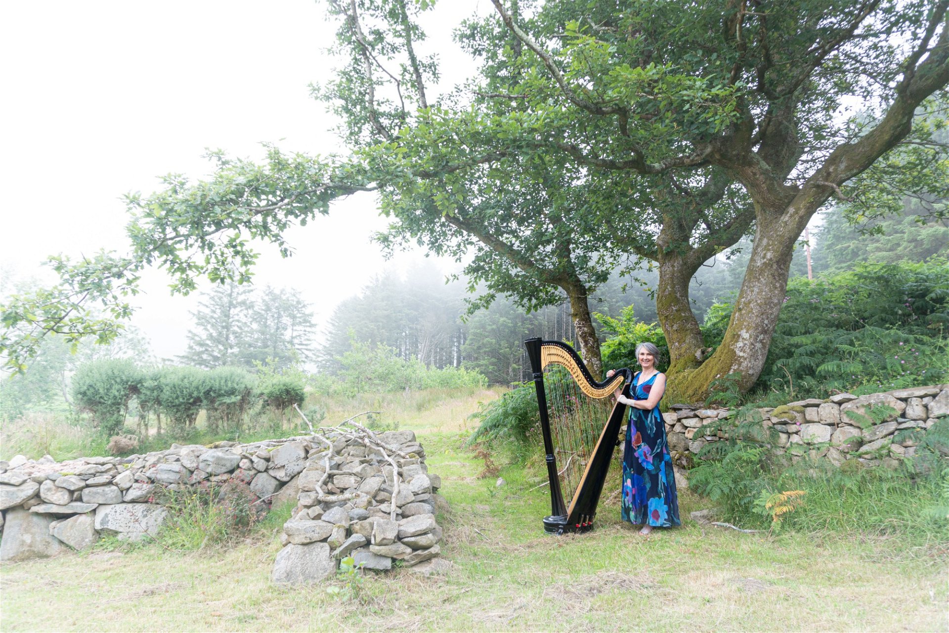 Promo OL Harp (Harpist) Harpist Cheshire