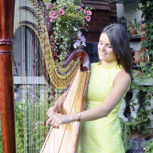 Promo The Cardiff Harpist  Vale of Glamorgan