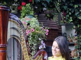 Promo The Cardiff Harpist Harpist Vale of Glamorgan