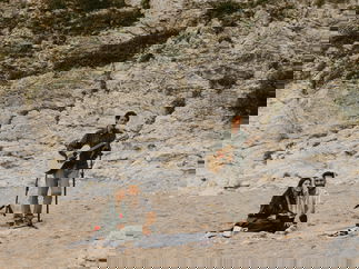 Promo Tim Jackson Singer Guitarist London