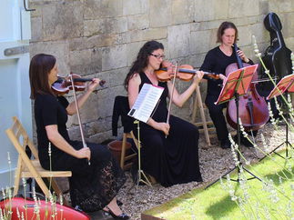 Promo Egeria Strings String Trio Surrey