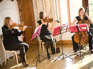 Promo Egeria Strings String Trio Surrey
