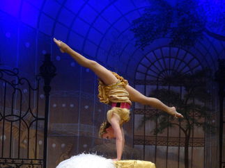 Promo The Norvinis Magician London