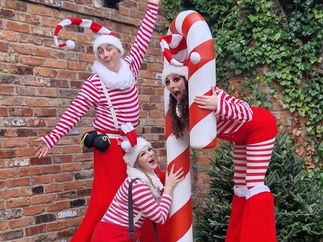 Promo Christmas Elves Christmas Entertainer Leicestershire