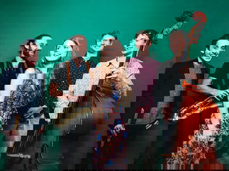 Promo Evelyn and The Vipers Rock, Pop and Soul Wedding Function Band Bristol