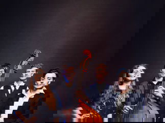 Promo Evelyn and The Vipers Rock, Pop and Soul Wedding Function Band Bristol