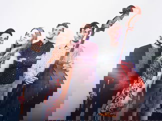 Promo Evelyn and The Vipers Rock, Pop and Soul Wedding Function Band Bristol