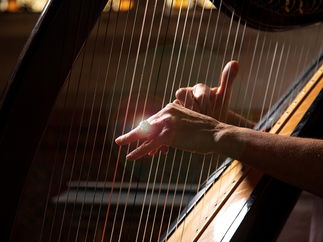 Promo Evelyn Haran Harpist & Vocalist London