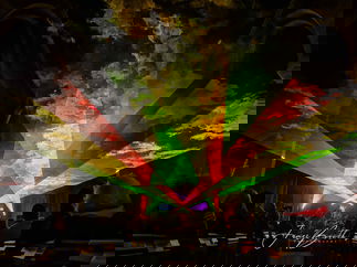 Promo Bouncing Laser Light Show Event Supplier West Midlands