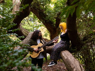 Promo Stellar Acoustics Acoustic Duo Caerphilly