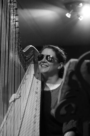 Promo Gold Harp Harpist East Sussex