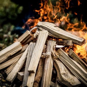 Promo Survival Experience  Dorset