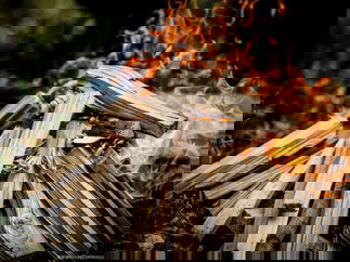 Promo Survival Experience Team Building Experience Dorset