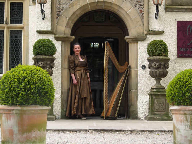 artists similar to FW Harp (Harpist)