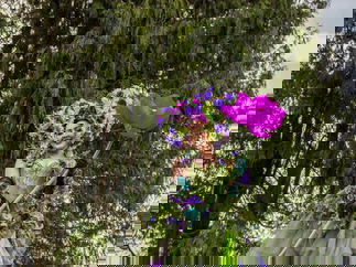 Promo Premium Flower Performers Flower Stilt Walkers and Walkabout Characters Leicestershire