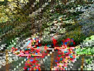 Promo Funky Flower And Hedge People Mix And Mingle Flower and Hedge People London