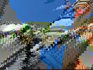 Promo Funky Flower And Hedge People Mix And Mingle Flower and Hedge People London