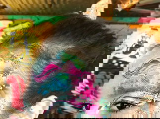 Promo Amazing Faces Face Painter Aberdeen