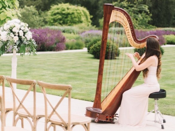 Promo Francesca Harp Harpist East Yorkshire
