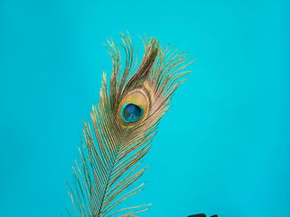 Promo Fun Circus Workshop Team Building Circus Workshop Leicestershire