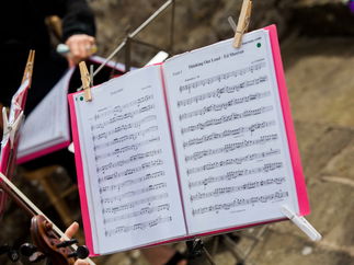 Promo The Rose String Quartet String Quartet Hertfordshire