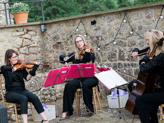Promo The Rose String Quartet String Quartet Hertfordshire