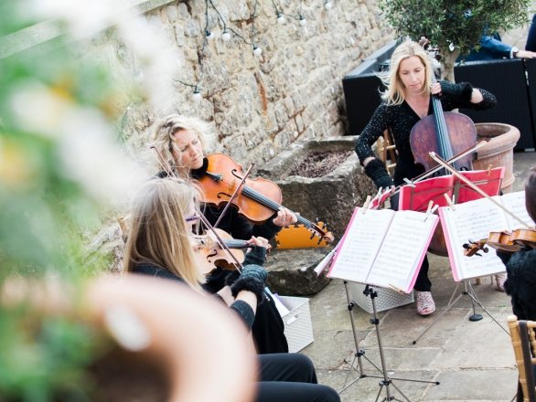 Promo The Rose String Quartet String Quartet Hertfordshire