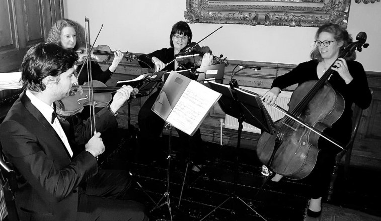 Promo The Stirlingshire String Quartet String Quartet Stirlingshire area