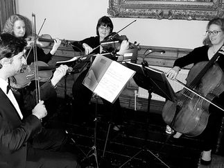 Promo The Stirlingshire String Quartet String Quartet Stirlingshire area