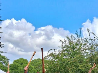 Promo Cantiga Medieval Musician Worcestershire