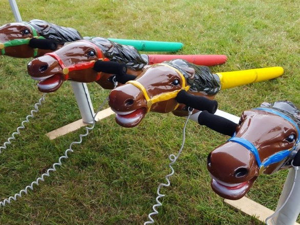 Promo Gold Cup Horse Racing Giant and Outdoor Games Lincolnshire